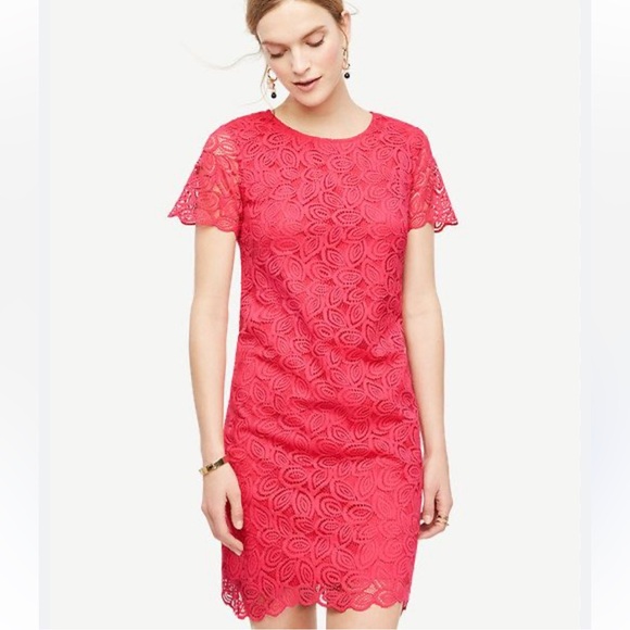 Ann Taylor Pink Lace Shift Mini Dress - Picture 1 of 16